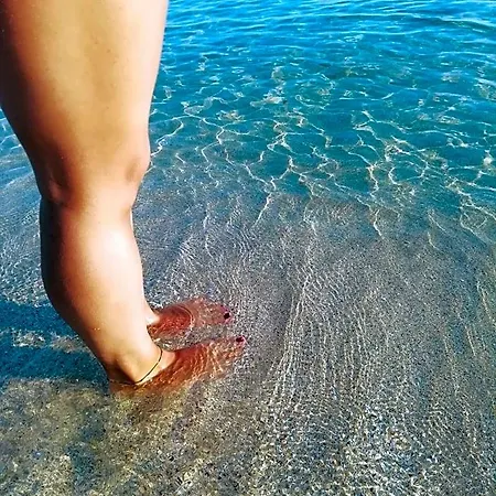 Dream
